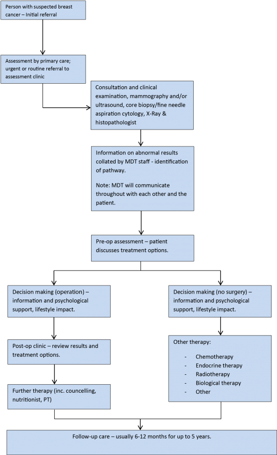 Care Pathway - Care Pathway For Breast Cancer (561x920), Png Download