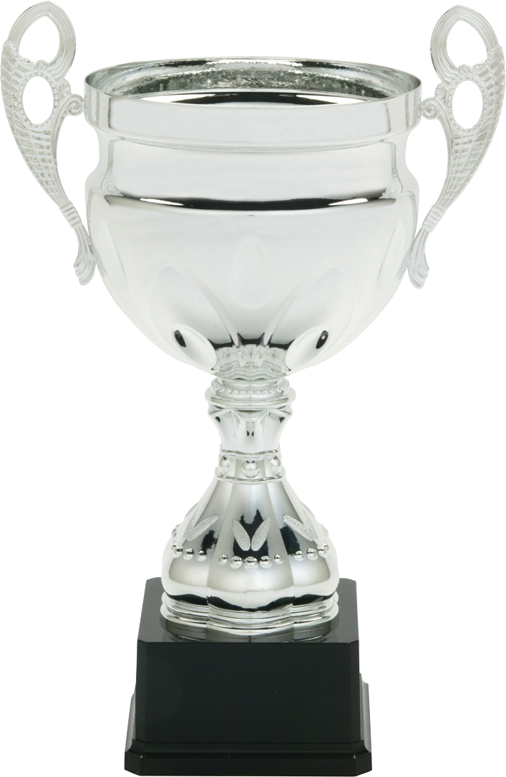 Lombardi Metal Cup Trophies On Black Plastic Base - Lombardi Personalized Silver Metal Cup (714x1096), Png Download