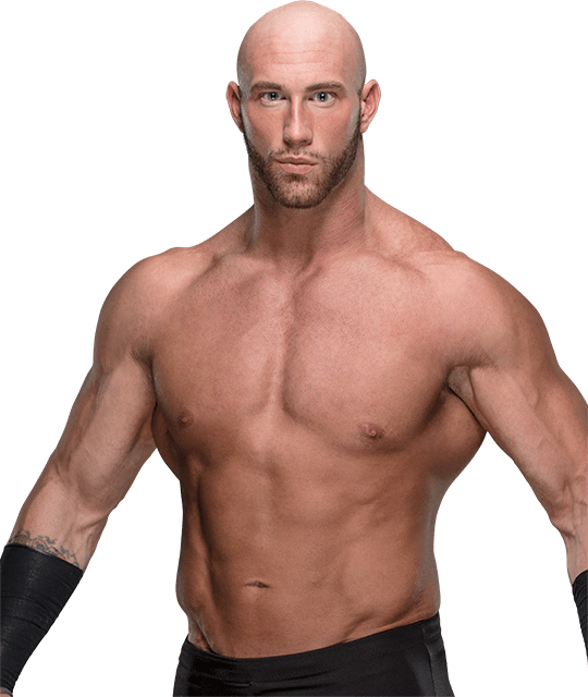 Dan Matha - Dan Matha Wwe (540x640), Png Download