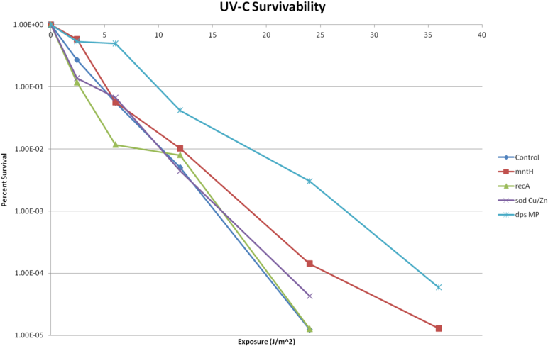 After Each Exposure, A Dilution Spot Assay Was Conducted - Dna (800x516), Png Download