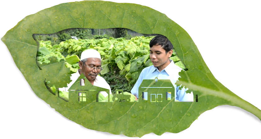 Watch Our Working In Partnership Video - Sustainable Tobacco Programme (840x450), Png Download