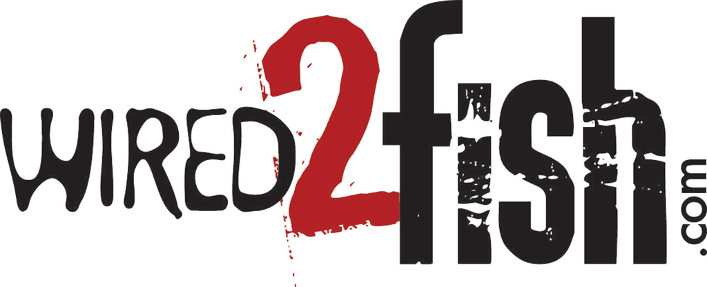 Wired To Fish Brainerd Lakes Area Fishing Guides Bait - Wired 2 Fish Logo (1024x416), Png Download