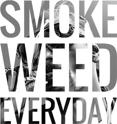 Snoop Dogg Smoke Weed Text - Pottery Barn Sleep In Pillow (500x666), Png Download