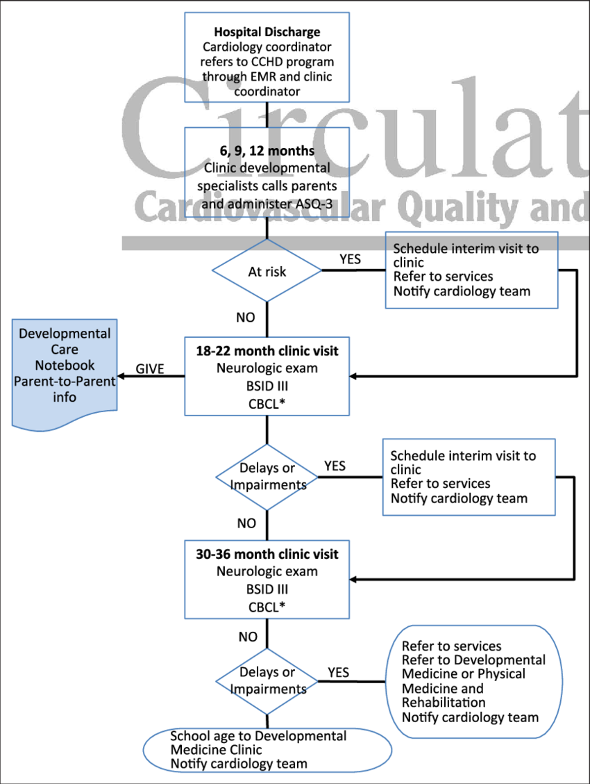 Flow Process For Congenital Heart Disease Follow Up - Bayley Scales Of Infant Development (850x1128), Png Download