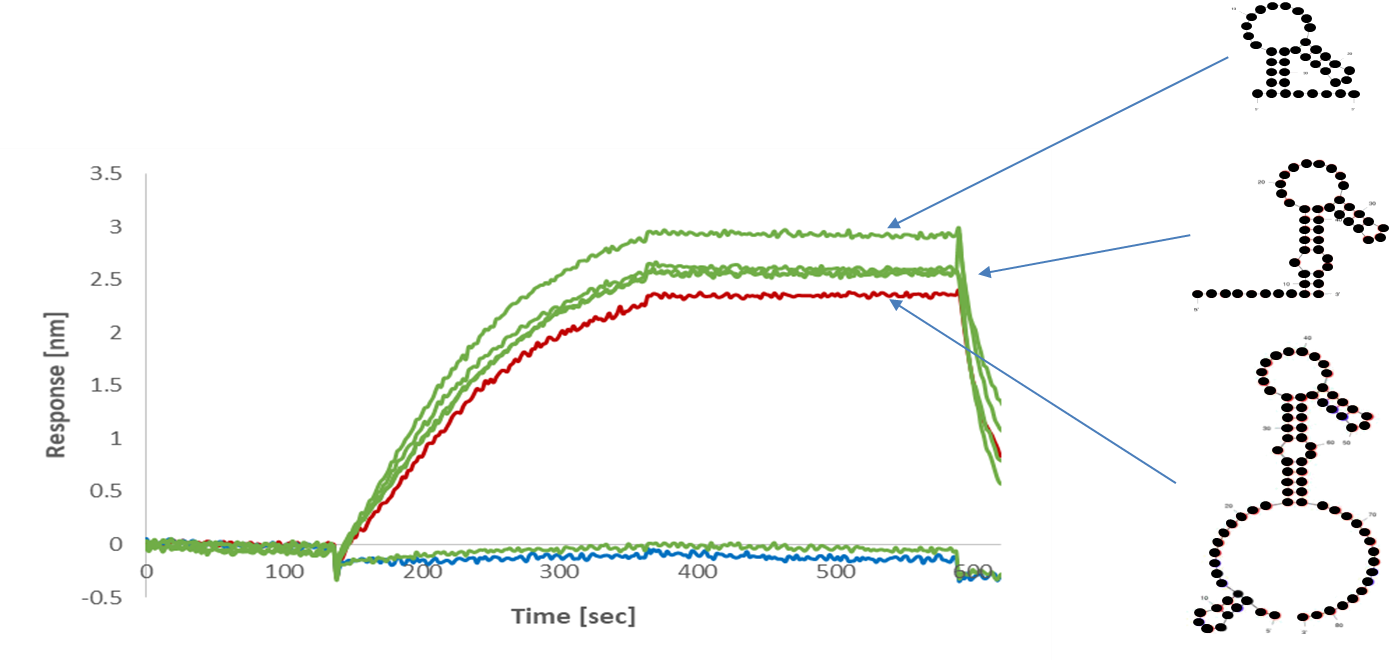 In This Example The Immobilised Naïve Library Shows - Diagram (1392x660), Png Download