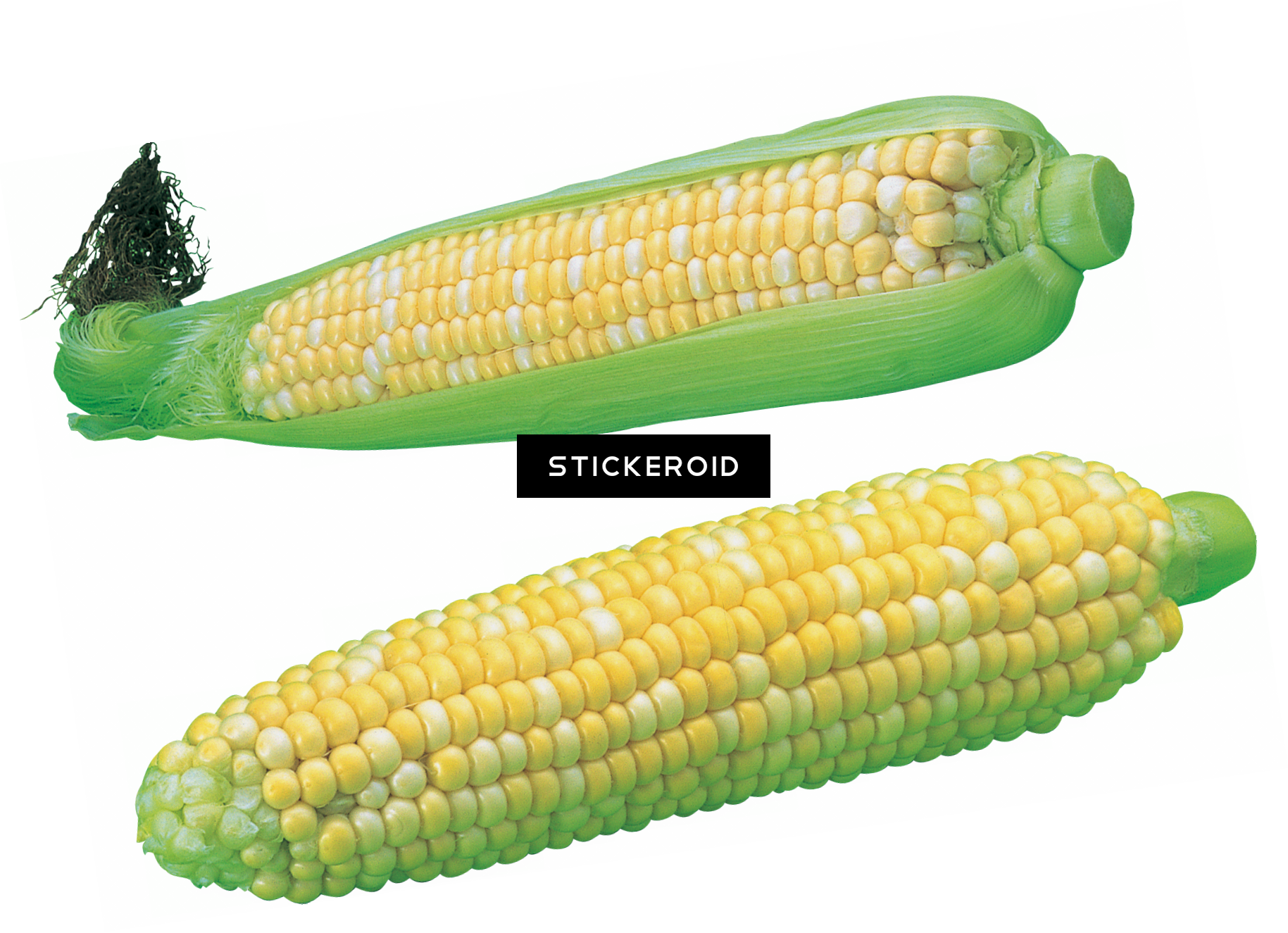 Corn - Corn Kernels (1829x1325), Png Download
