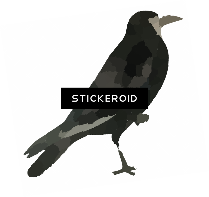 Raven Bird Hd (868x821), Png Download