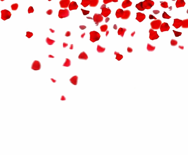 Falling Rose Petals Png Clipart (650x538), Png Download