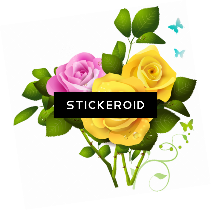 Yellow Rose Flowers (732x728), Png Download