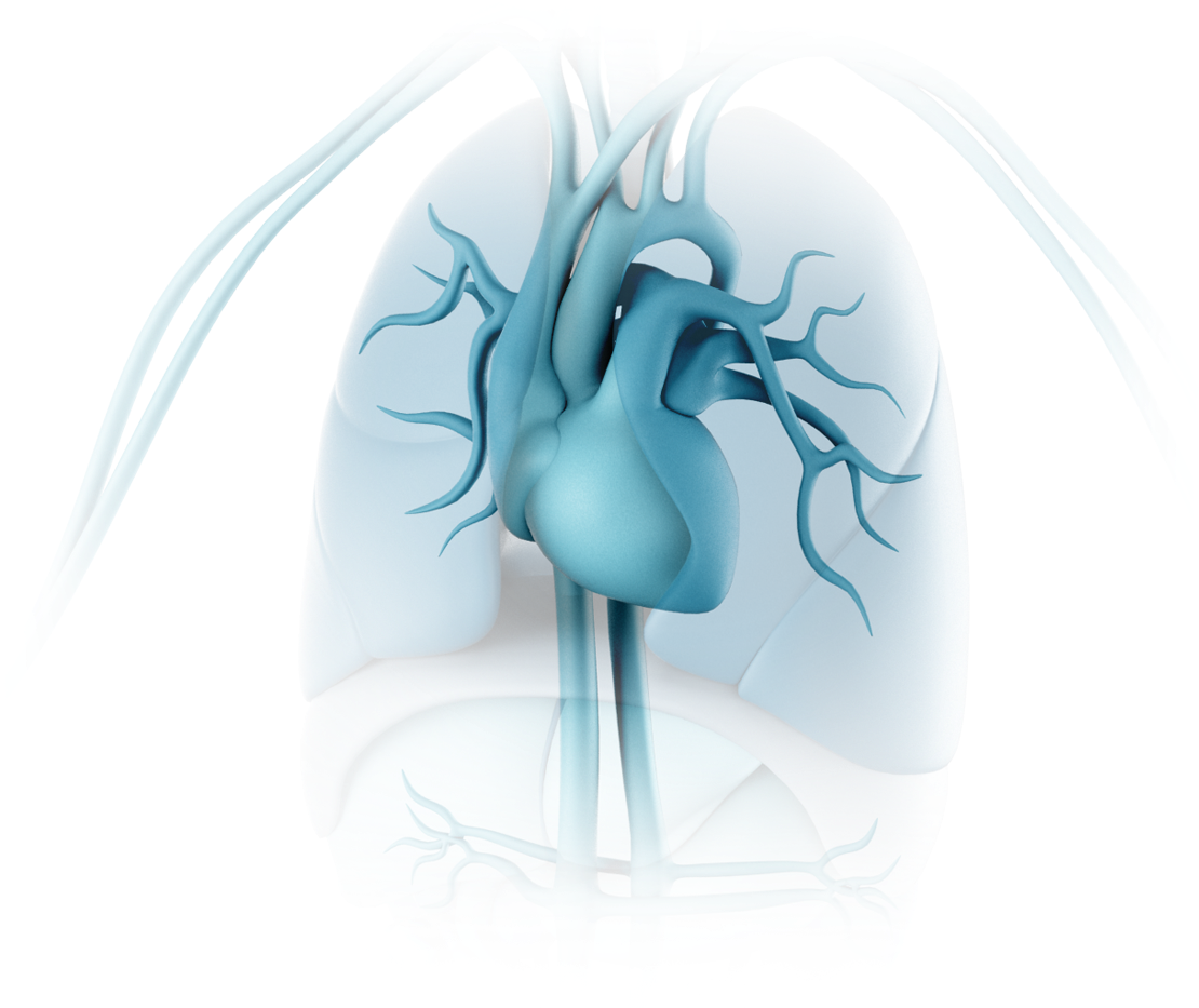 Back To Top - Illustration (1200x986), Png Download