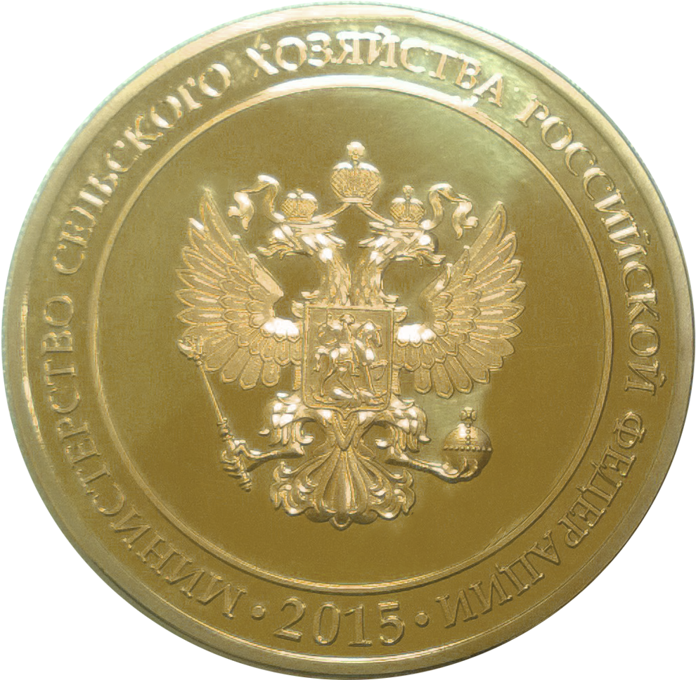 Gold Medal (1069x1050), Png Download
