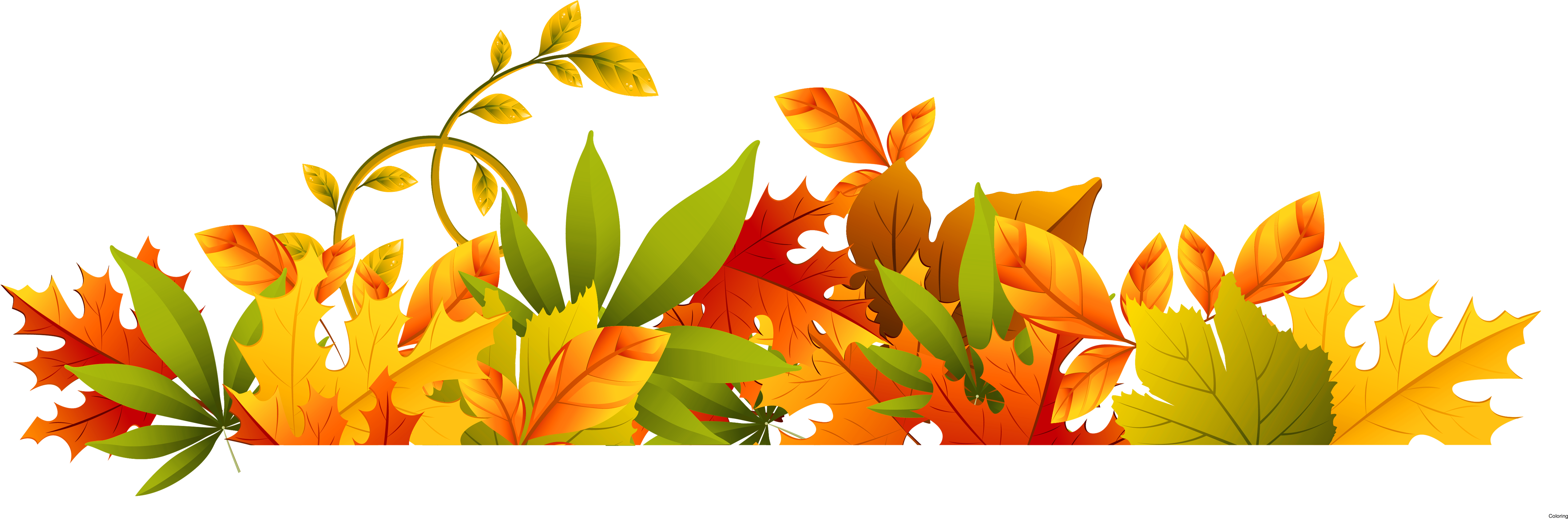 Fall Clipart Autum - Free Clipart Autumn Leaves Border (5264x1796), Png Download