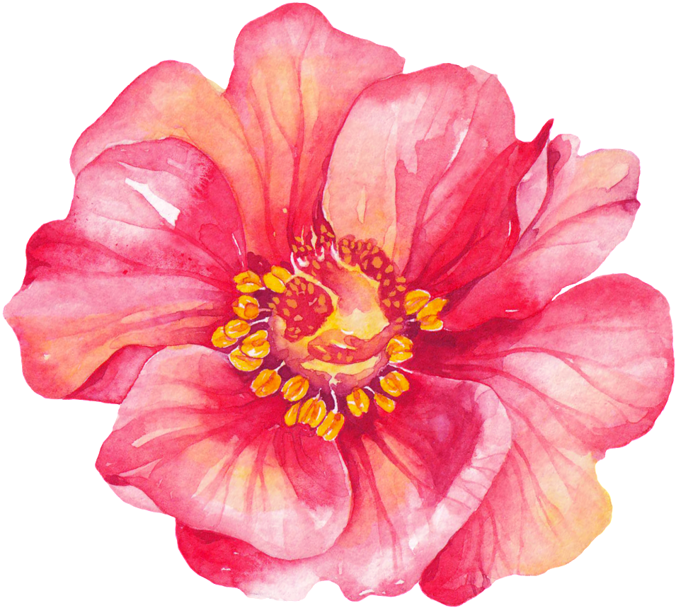 Download Red Petals Cartoon Transparent - Hibiscus Bienvenue PNG Image ...