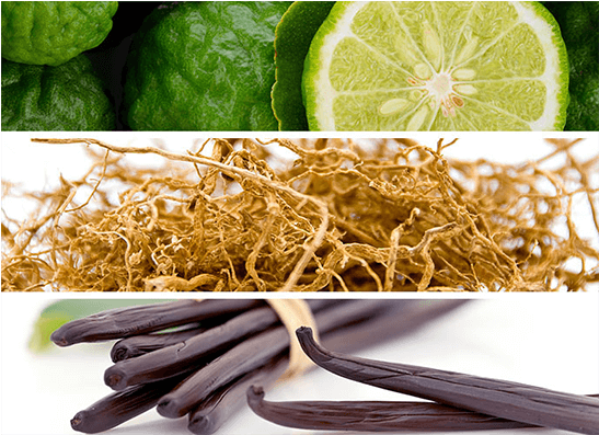 Legend Night Is A Woody And Oriental Fragrance - Extracto De Vainilla Bio (hidrosoluble) Camassia, 5 (690x500), Png Download