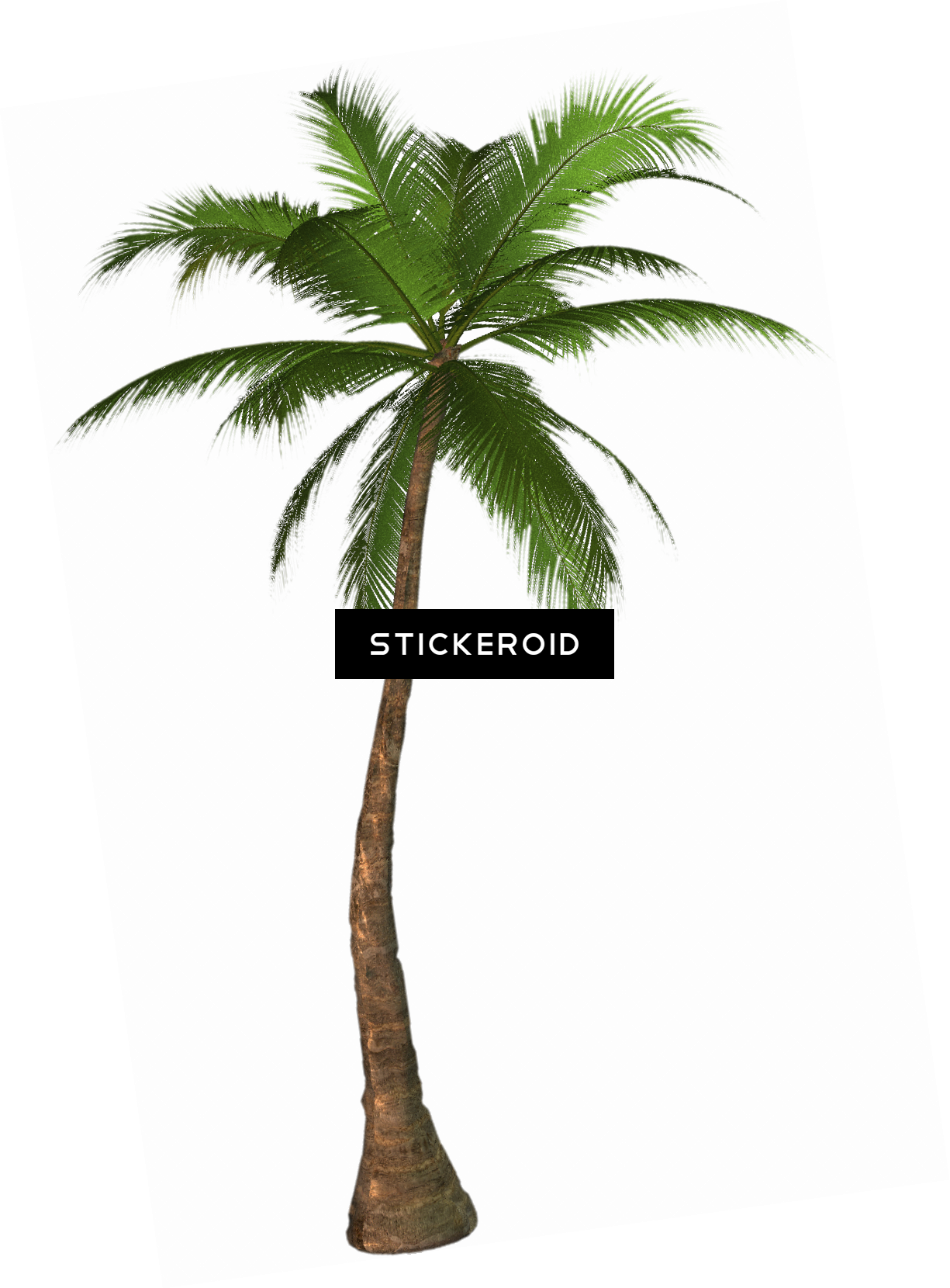 Tropical Palm Tree - Screen Door Magnets – Twist, Click And Lock - Keep (1225x1660), Png Download