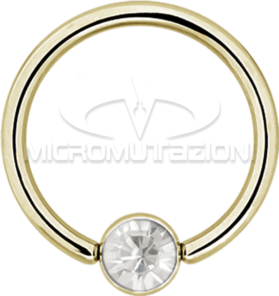 Supply Bcr With Flat Ball Titanium Zirconline - Captive Bead Ring (750x750), Png Download