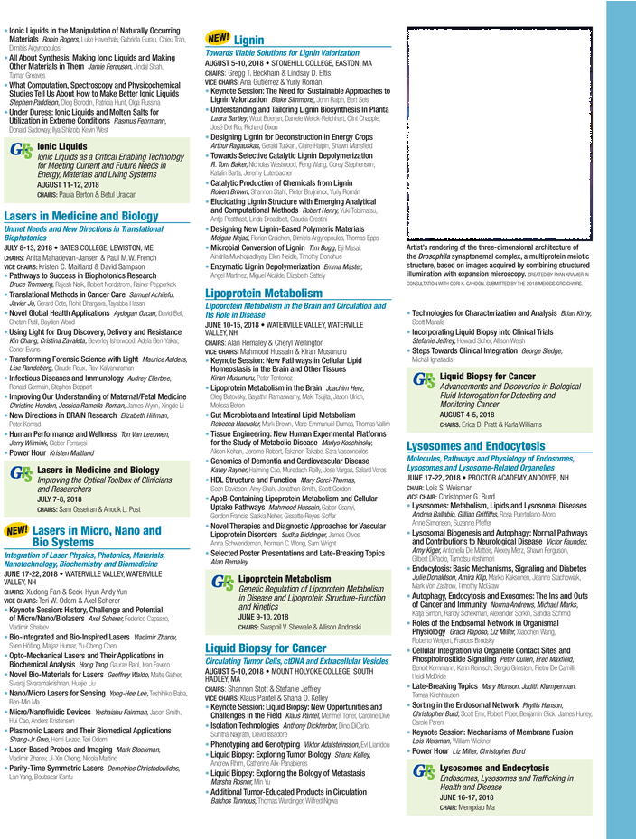 What - Brochure (729x928), Png Download