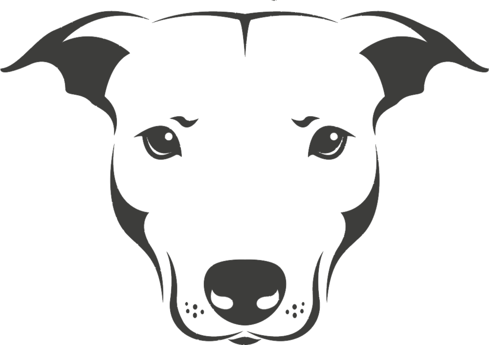 Dog Pooper Scooper, Poop Scoop, Best Pooper Scooper, - Pet Valu (1000x707), Png Download