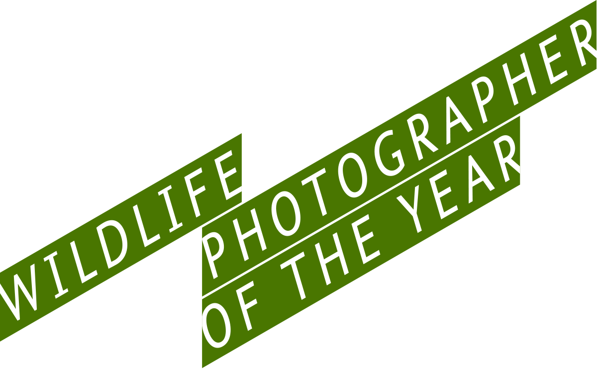 Wildlife Photographer Of The Year Logo (1200x742), Png Download