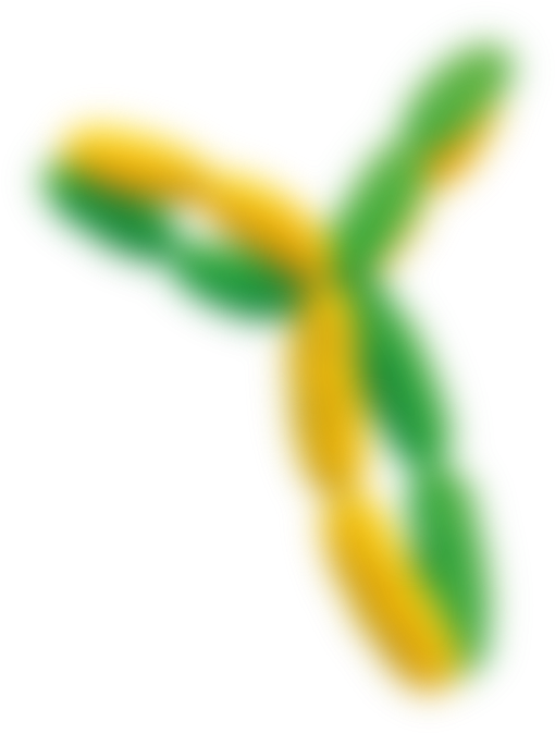 Respiratory - Insect (700x700), Png Download