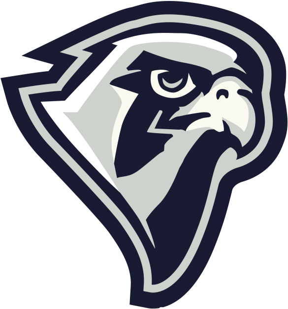 Falcon Falcon Logo, Bird Logos, Sports Logos, Falcons - Falcon Head Logo (599x640), Png Download