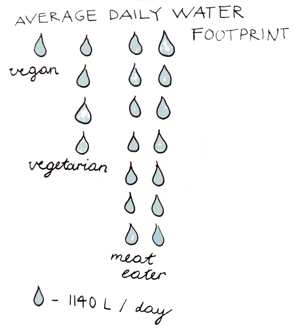 Water - Circle (1000x1130), Png Download