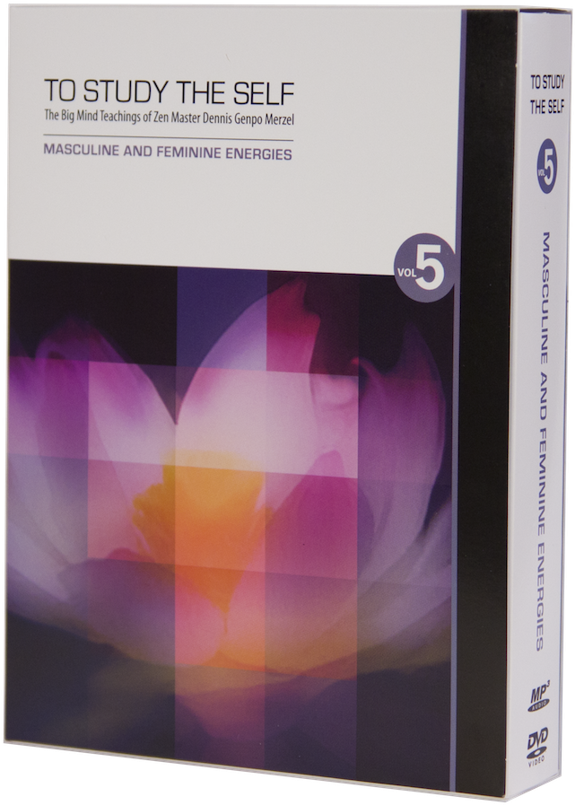 Vol5 Front - Gadget (700x939), Png Download