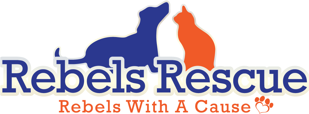 Pete The Cat Png (1072x427), Png Download