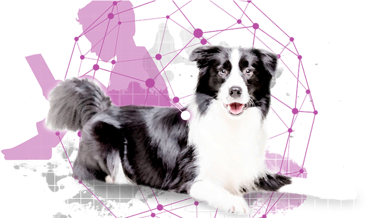 Snouts Towards Technology - University Of Helsinki (735x430), Png Download