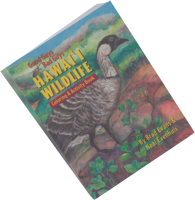 Good Guys, Bad Guys - Good Guys, Bad Guys, Hawai'i Wildlife (1024x768), Png Download