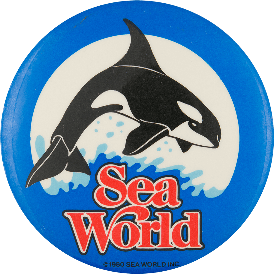 Sea World Shamu - Lot 7 Sea World Aquarium Souvenir Keychains Key Rings (1000x989), Png Download