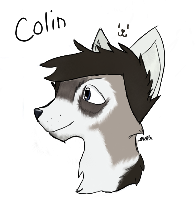 Colinn - Cartoon (634x655), Png Download