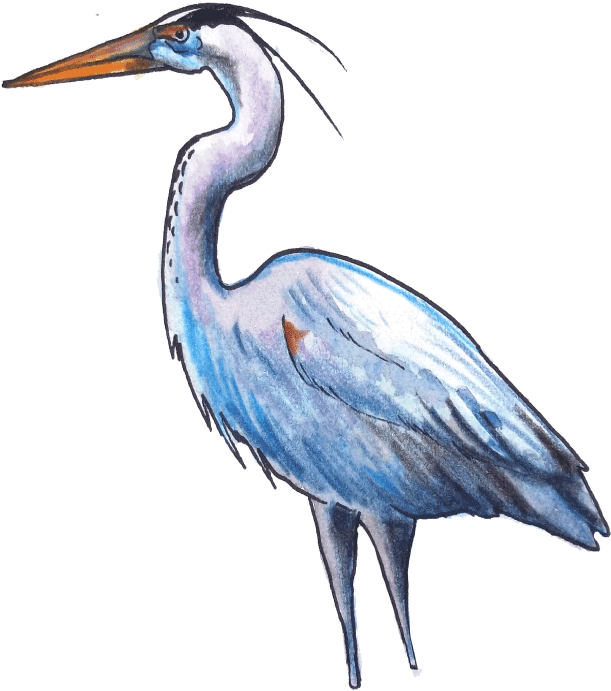 The Fish Eaters - Fish (1280x720), Png Download