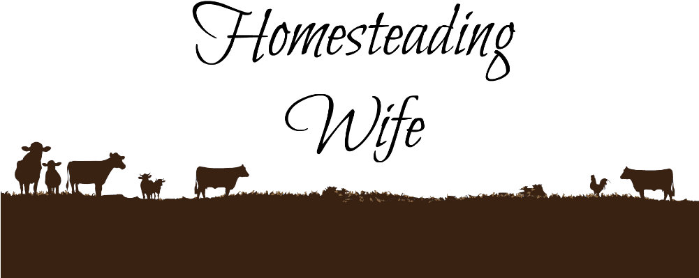 Homesteading Wife - Sterling Silver Post Upgrade (1000x431), Png Download