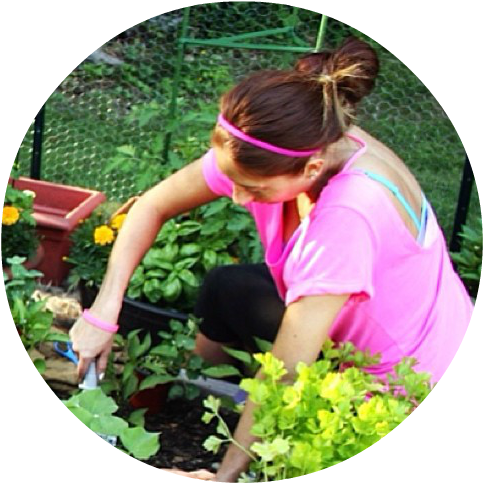 Angie Rose - Botanical Garden (612x612), Png Download