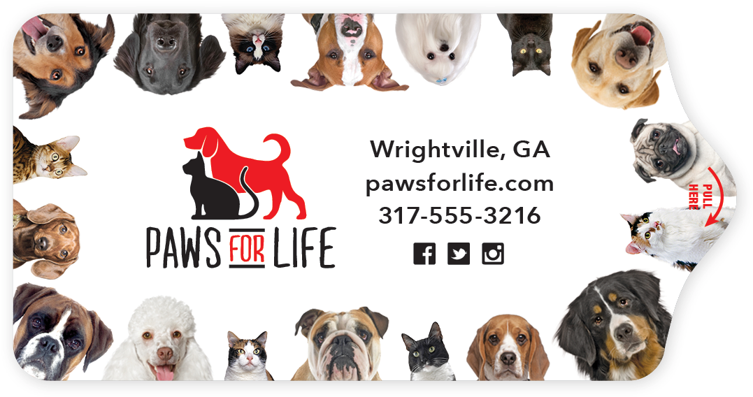 Dog And Cat Border Thumbnail - Cat (1200x1200), Png Download