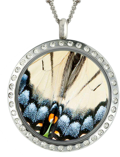 Butterfly Wing Blue & White In Locket (625x626), Png Download