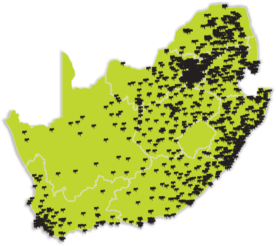 Keeping Money In The Community - Money (1000x887), Png Download