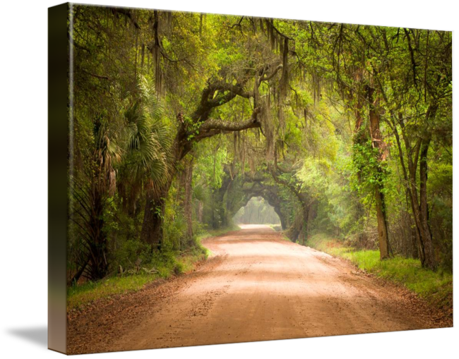"charleston Sc Edisto Island Dirt Road" By Dave Allen - Rite Of Passage - Cd (650x509), Png Download