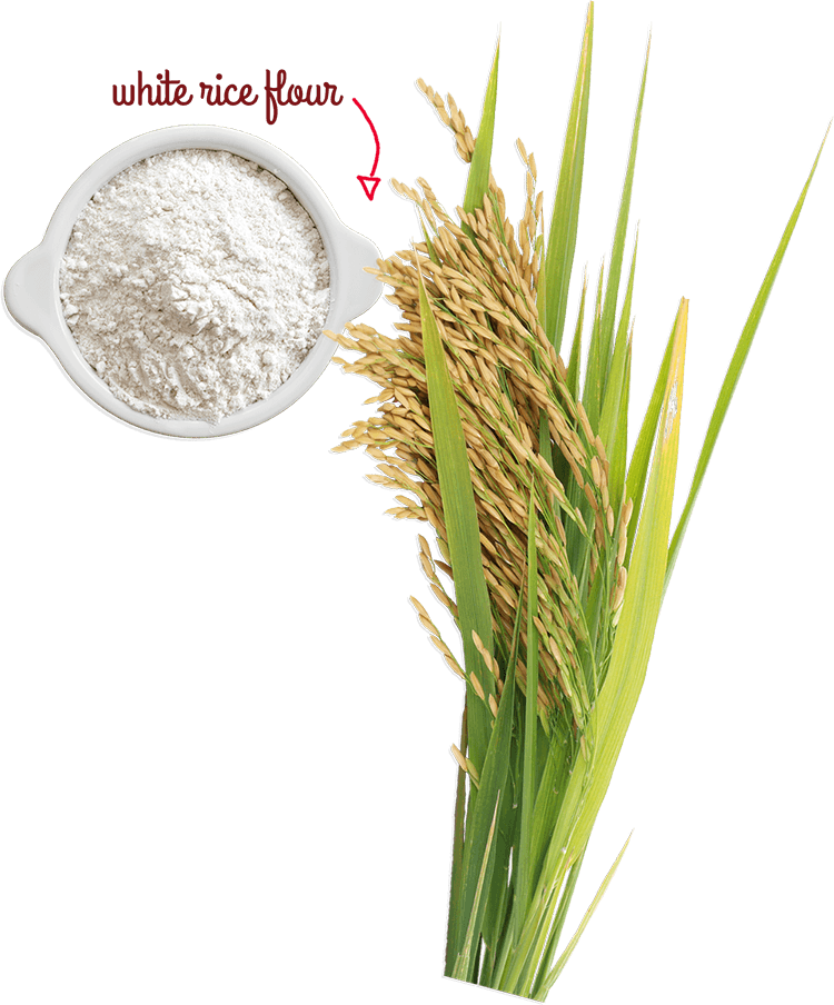 Rice Tree Png (750x904), Png Download