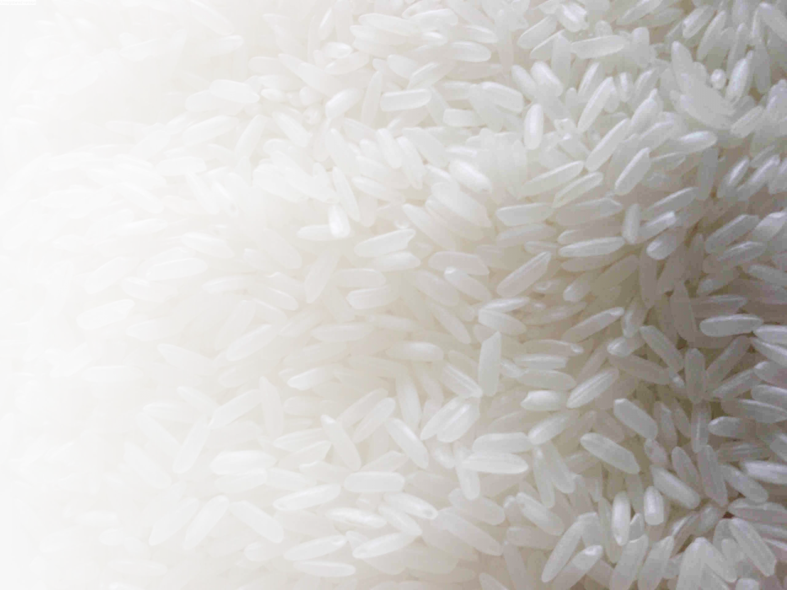 Rice - White Rice (1600x1200), Png Download