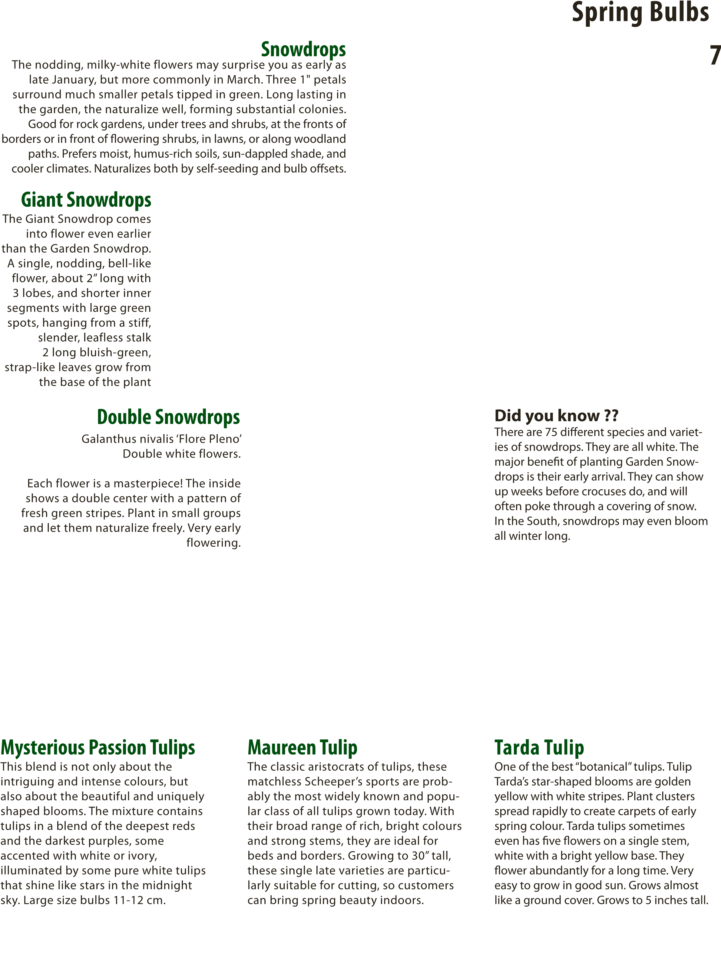 Page0007 2 - Document (2495x3230), Png Download