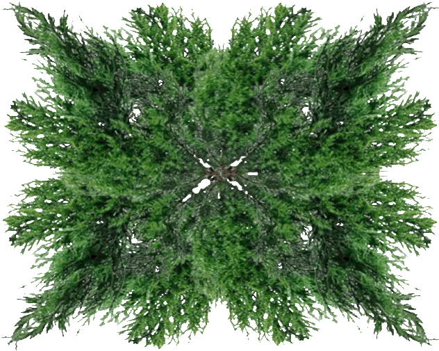 Photo Treetoproof - Grass (800x800), Png Download