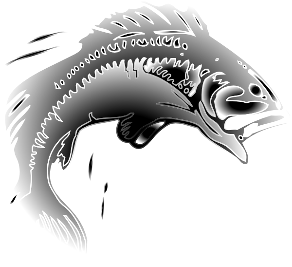 Jumping Fish Clip Art Transparent (600x548), Png Download