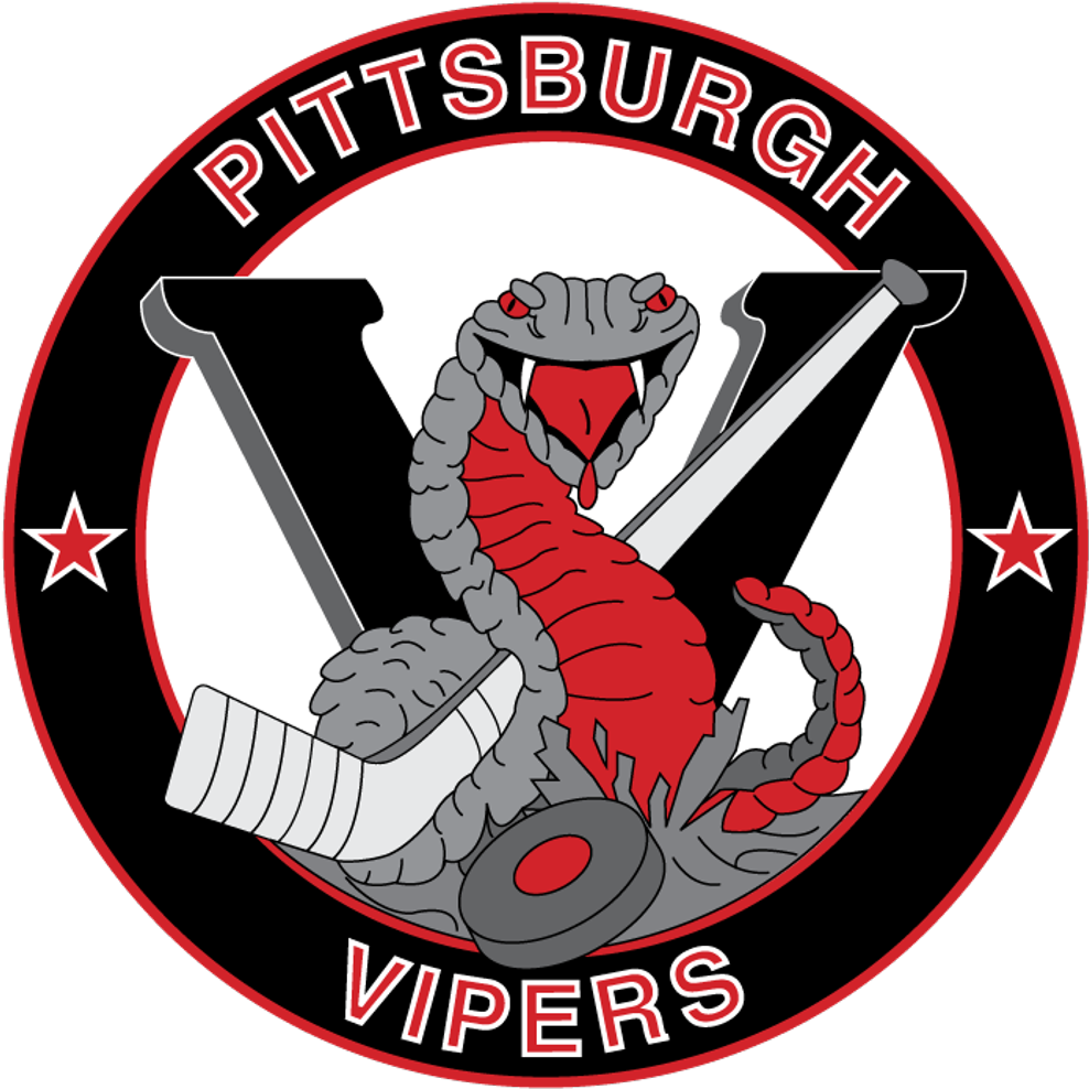 North Hills Vipers (1024x1024), Png Download