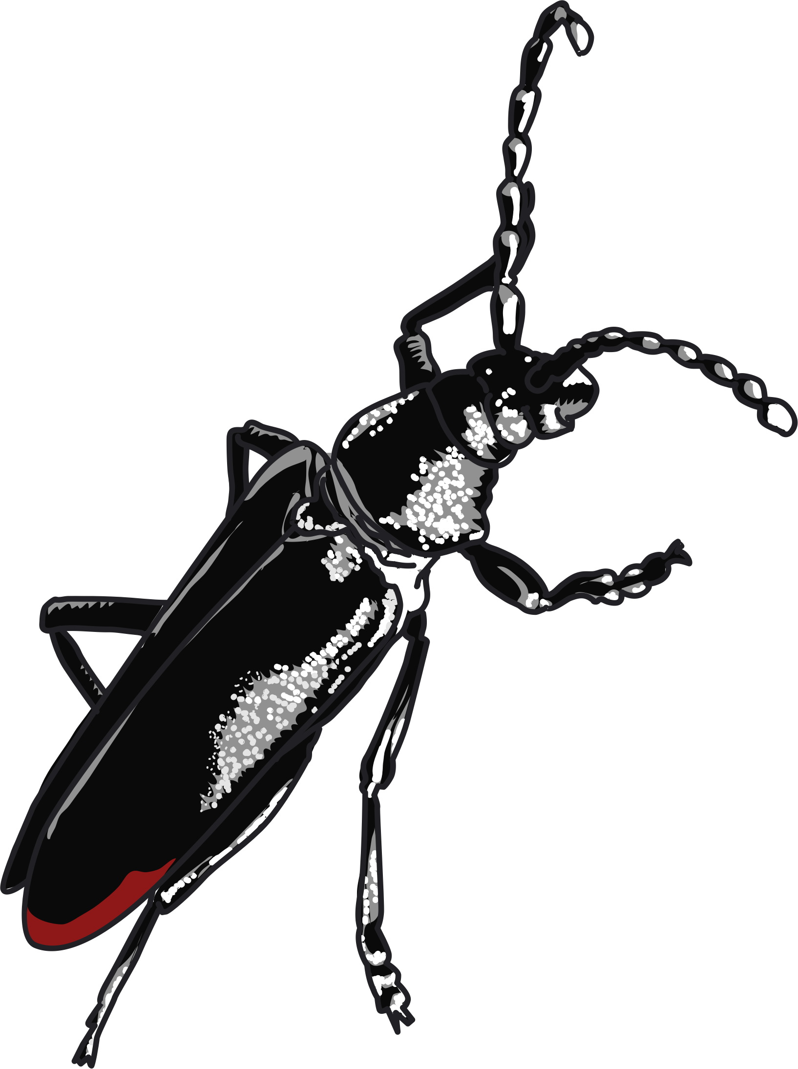 This Free Icons Png Design Of Grand Capricorne (1634x2189), Png Download