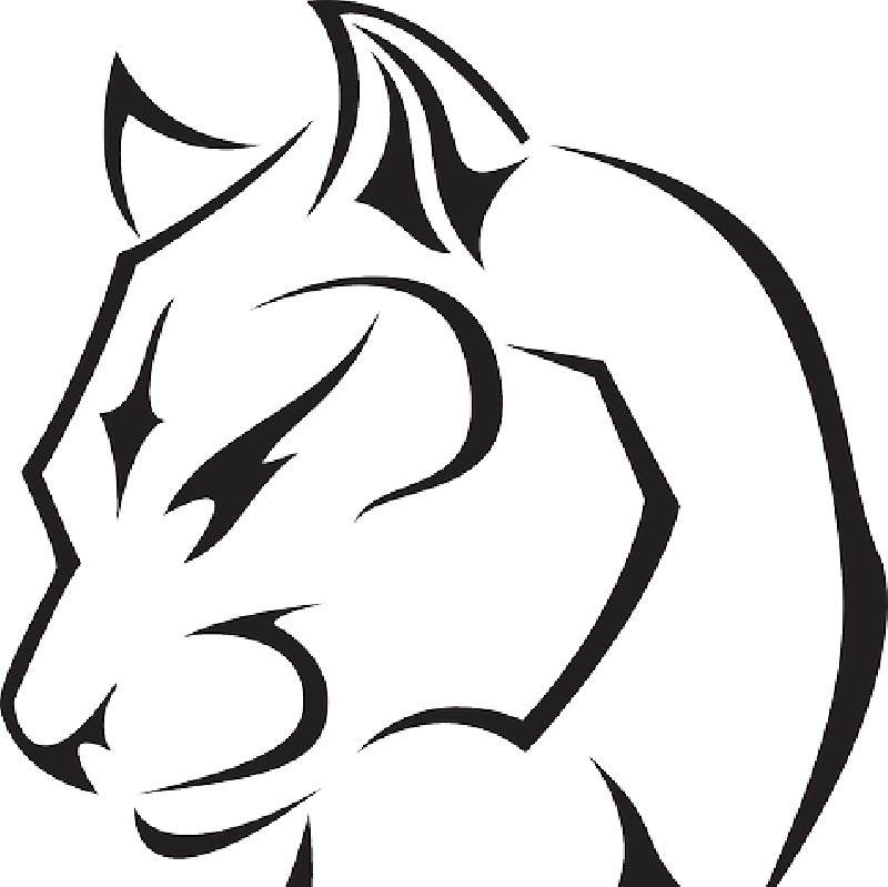 Panther Equipment Rental - Black Panther Drawing Animal (800x799), Png Download