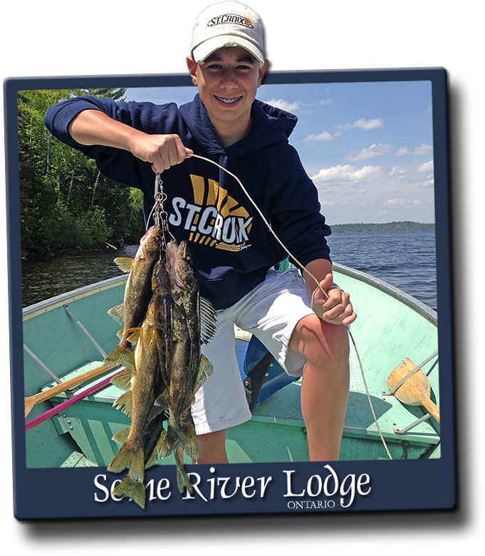 Walleye, Smallmouth Bass, Pike & Lake Trout Fishing - Pull Fish Out Of Water (681x780), Png Download