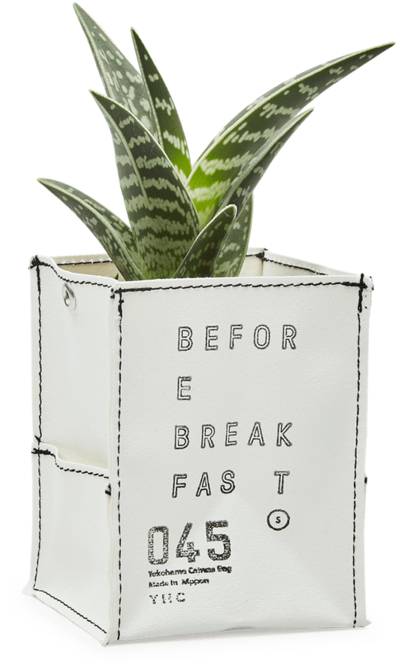 Tumblr Pineapple Png (1000x1000), Png Download