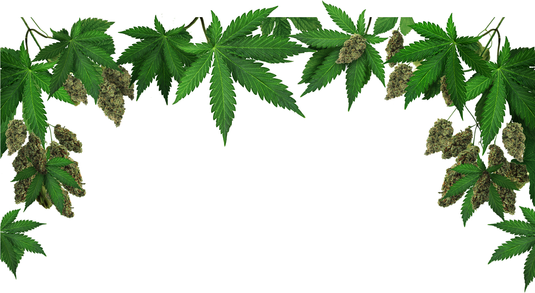 Home Admin 2018 07 29t23 - Marijuana: The Gateway To Abundance [book] (1806x1059), Png Download